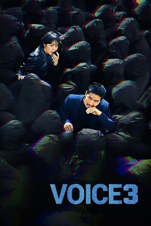Voice 3