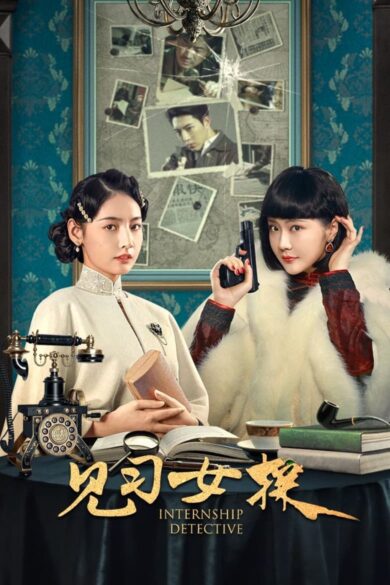 Internship Detective (2023)